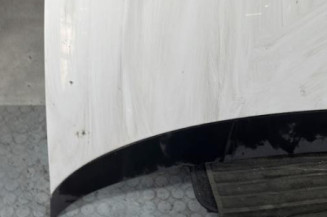 Capot FIAT GRANDE PUNTO