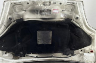 Capot FIAT GRANDE PUNTO