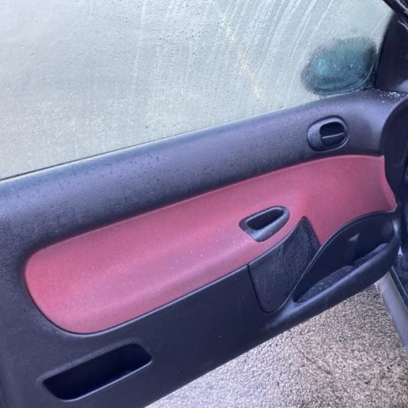 Baguette de porte avant droite PEUGEOT 206 Photo n°13