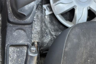 Arret de porte arriere gauche DACIA SANDERO 1