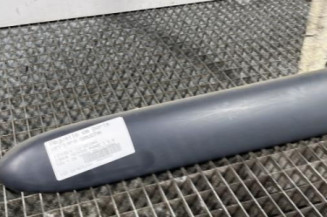 Baguette de porte arriere gauche  CITROEN XSARA PICASSO
