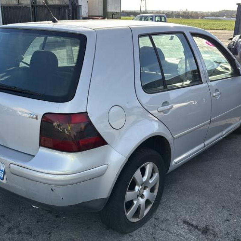 Custode arriere droit (porte) VOLKSWAGEN GOLF 4 Photo n°7