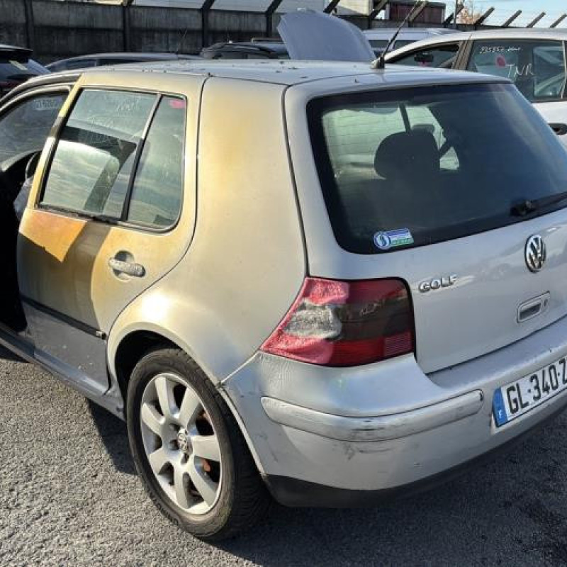 Custode arriere droit (porte) VOLKSWAGEN GOLF 4 Photo n°8