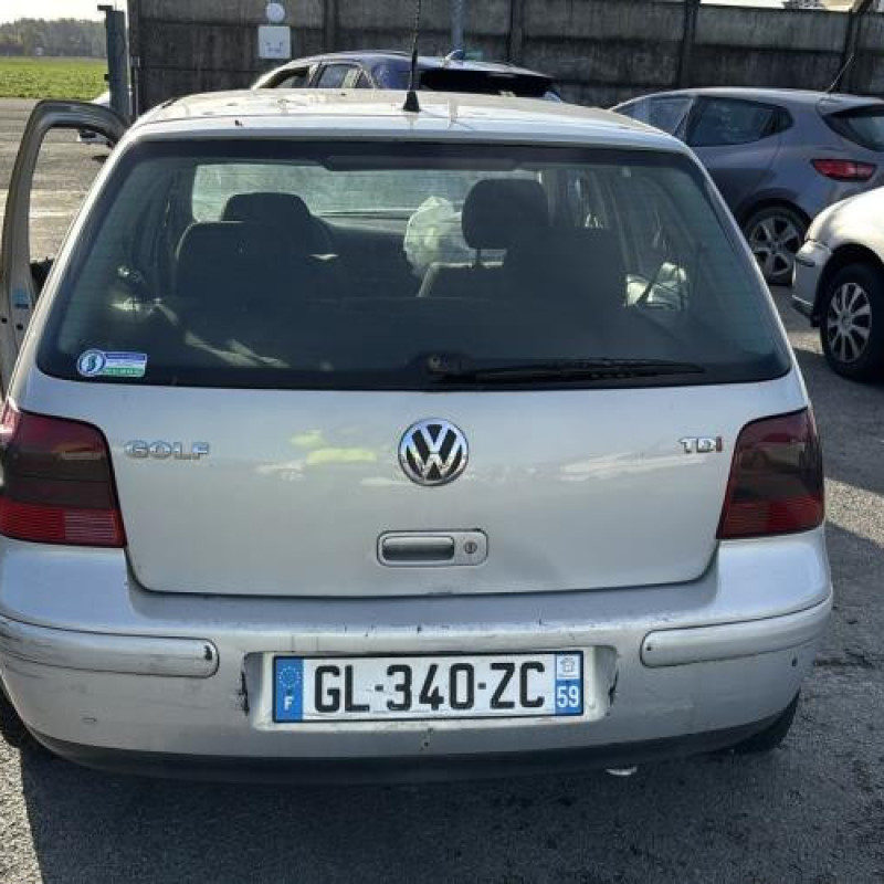 Custode arriere droit (porte) VOLKSWAGEN GOLF 4 Photo n°9