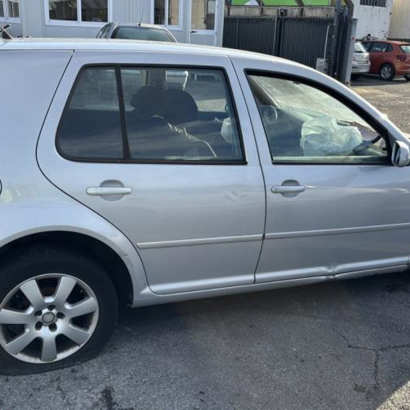 Custode arriere droit (porte) VOLKSWAGEN GOLF 4 Photo n°10