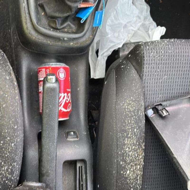 Custode arriere droit (porte) VOLKSWAGEN GOLF 4 Photo n°17