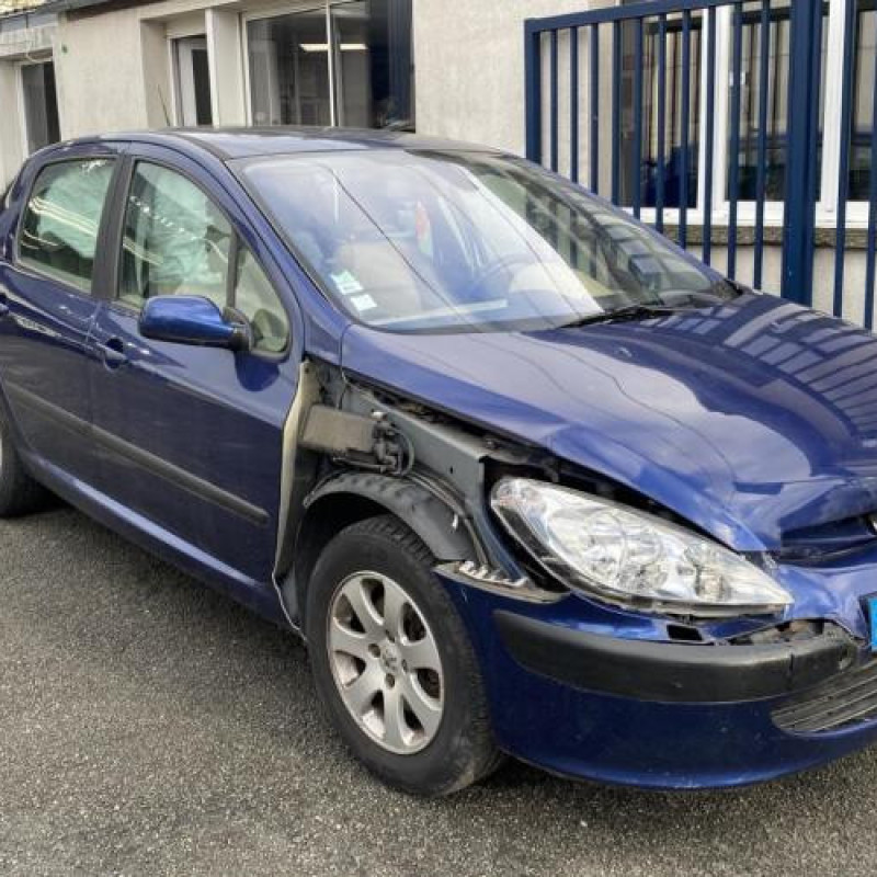 Feu arriere principal gauche (feux) PEUGEOT 307 Photo n°19
