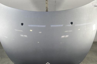 Capot CITROEN C3 PLURIEL Photo n°1