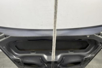 Capot CITROEN C3 PLURIEL