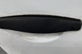 Porte arriere droit DACIA SANDERO 1