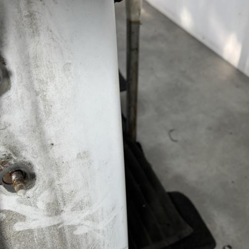 Porte arriere droit DACIA SANDERO 1 Photo n°4
