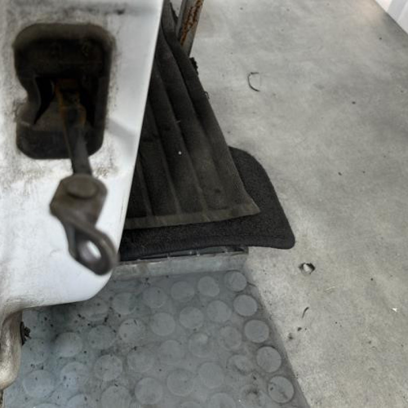 Porte arriere droit DACIA SANDERO 1 Photo n°5