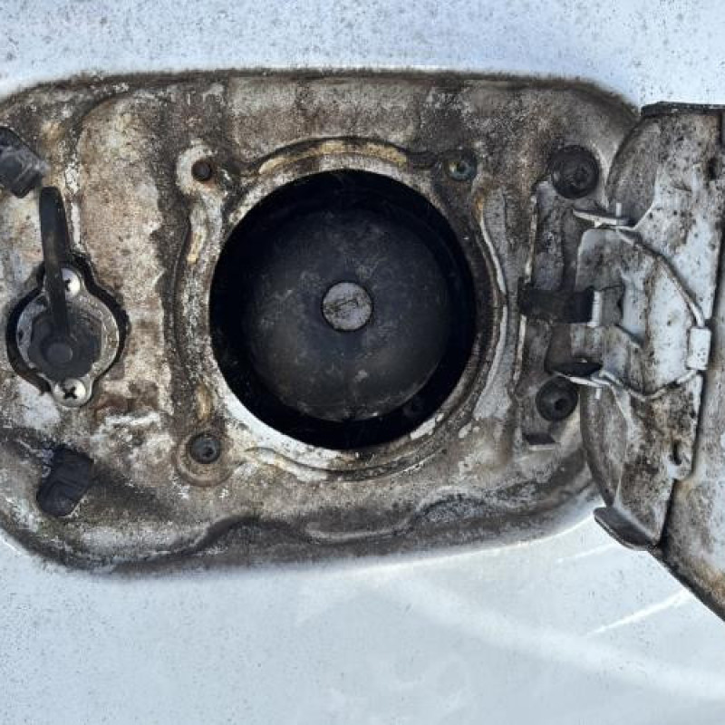 Porte arriere droit DACIA SANDERO 1 Photo n°14