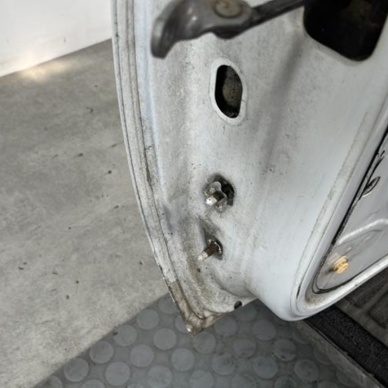 Porte avant droit DACIA SANDERO 1 Photo n°3
