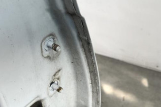 Porte avant gauche DACIA SANDERO 1