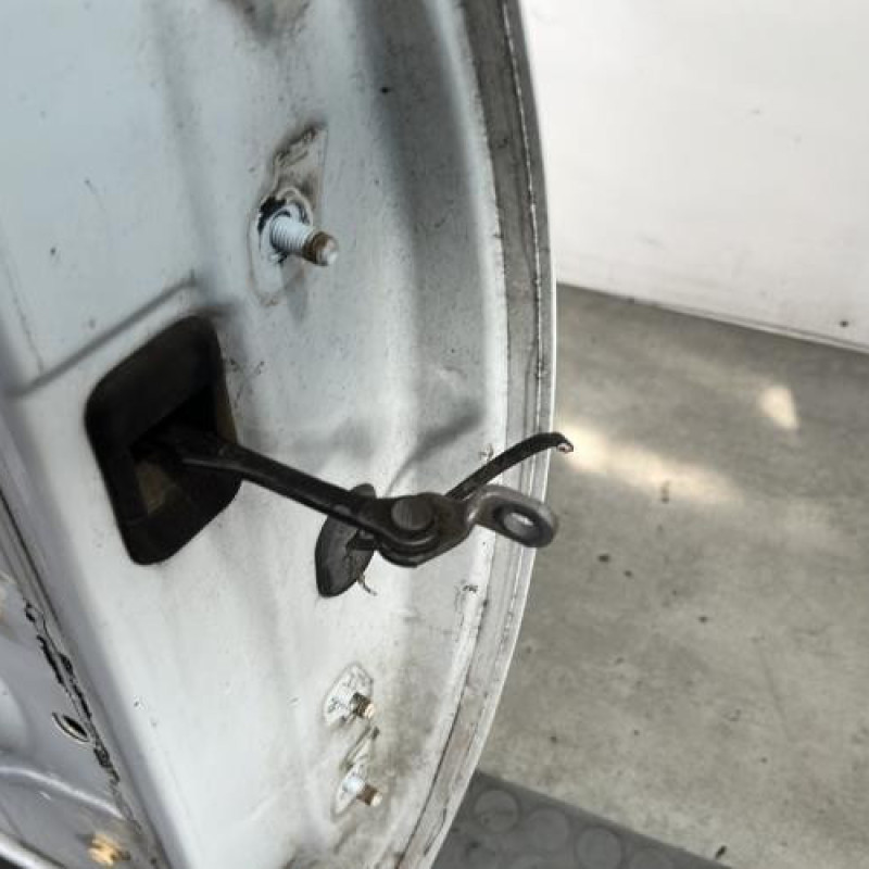 Porte avant gauche DACIA SANDERO 1 Photo n°3