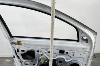 Porte avant gauche DACIA SANDERO 1