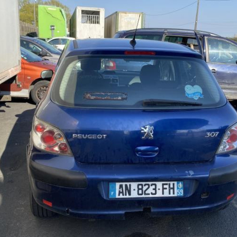 Poignee porte avant gauche PEUGEOT 307 Photo n°8