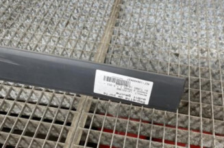Baguette de porte avant gauche RENAULT KANGOO 2