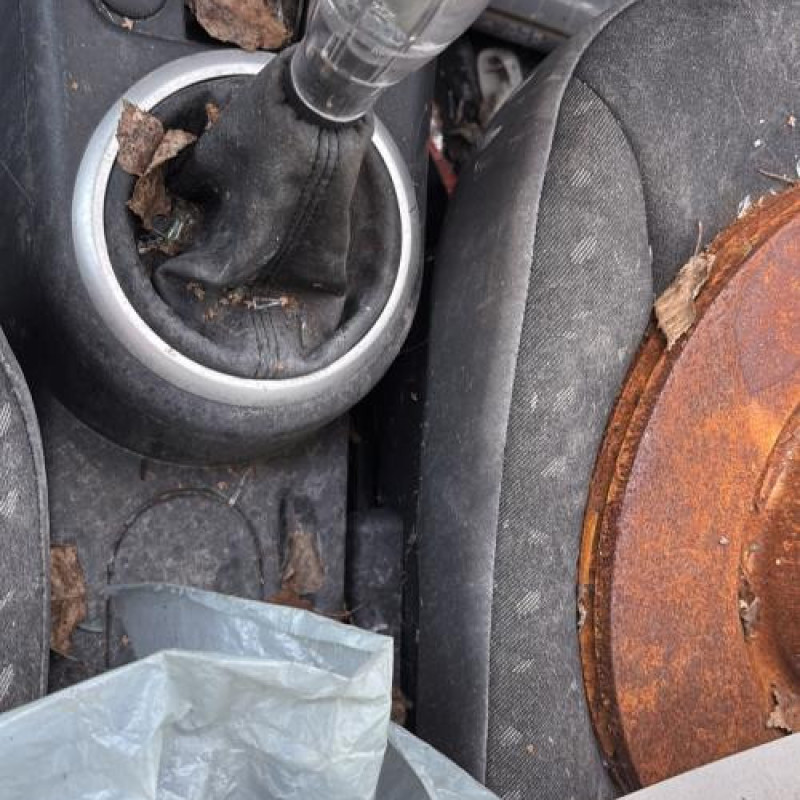 Retroviseur droit CITROEN C2 Photo n°19