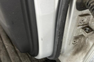 Porte arriere gauche BMW SERIE 5 E61
