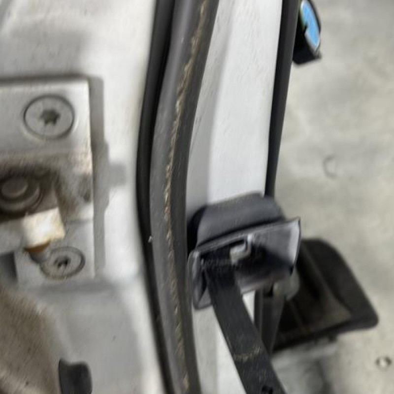 Porte avant droit BMW SERIE 5 E61 Photo n°4