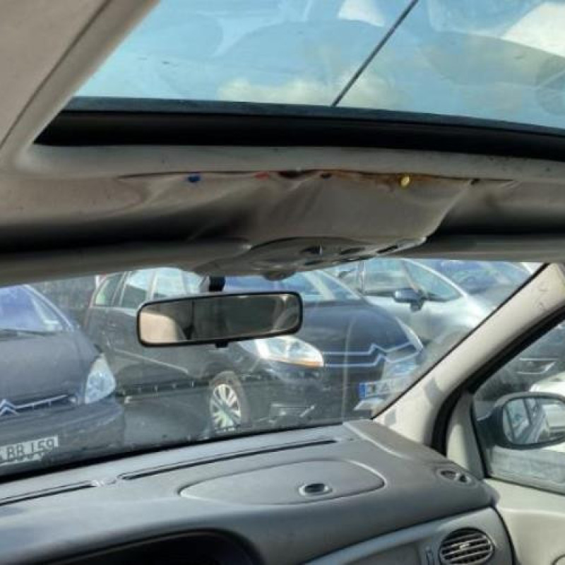 Bouton de warning RENAULT SCENIC 1 Photo n°10