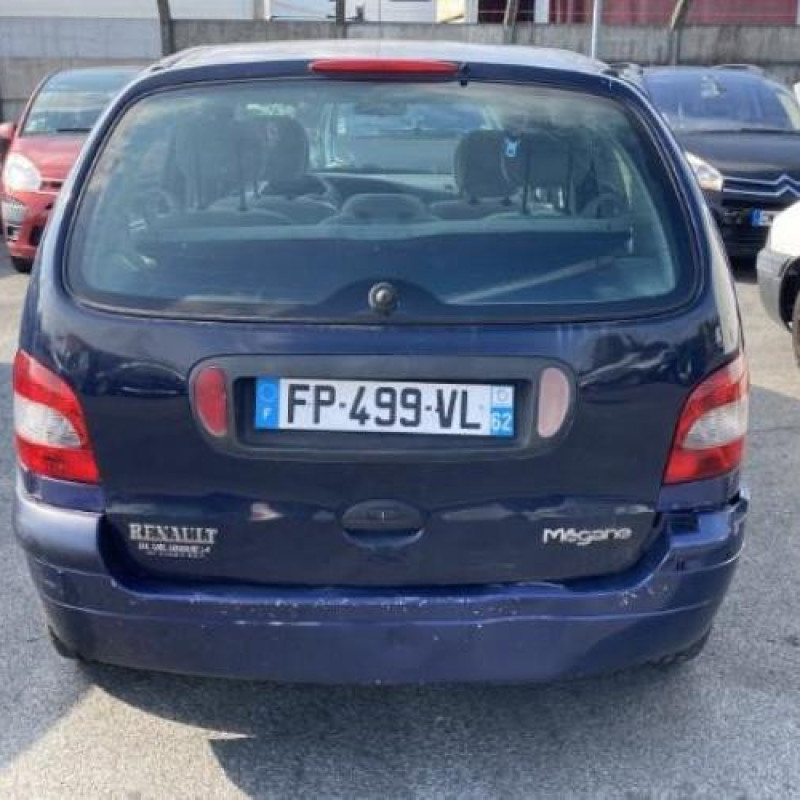Bouton de warning RENAULT SCENIC 1 Photo n°13