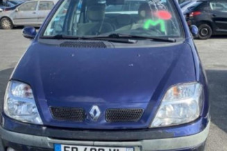 Bouton de warning RENAULT SCENIC 1