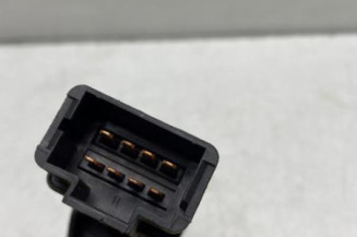 Bouton de warning RENAULT KANGOO 1