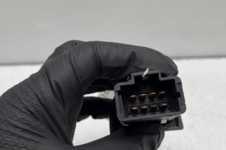 Bouton de warning RENAULT SCENIC 1