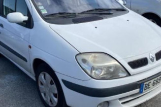 Bouton de warning RENAULT SCENIC 1