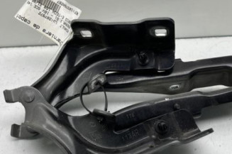 Charniere de capot RENAULT ARKANA Photo n°1