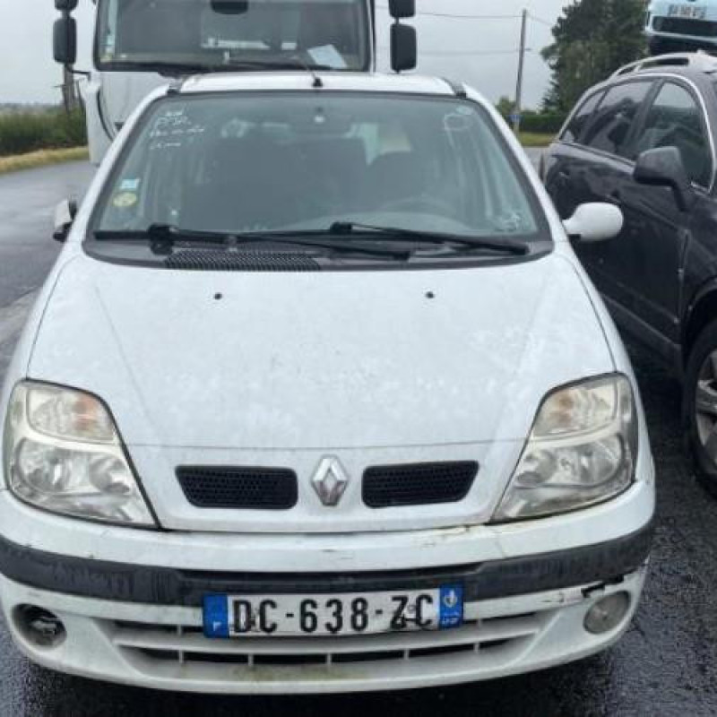 Bouton de warning RENAULT SCENIC 1 Photo n°5