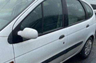Bouton de warning RENAULT SCENIC 1