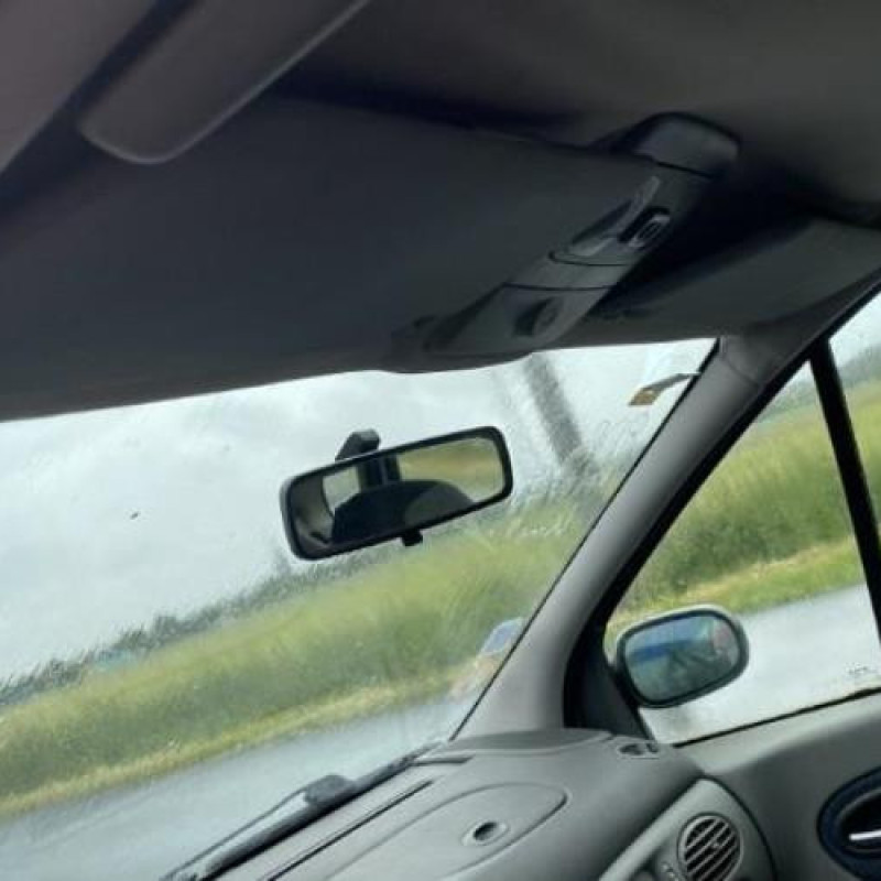 Bouton de warning RENAULT SCENIC 1 Photo n°8