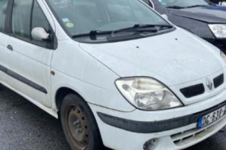 Bouton de warning RENAULT SCENIC 1
