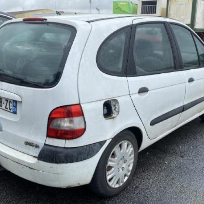 Bouton de warning RENAULT SCENIC 1 Photo n°12