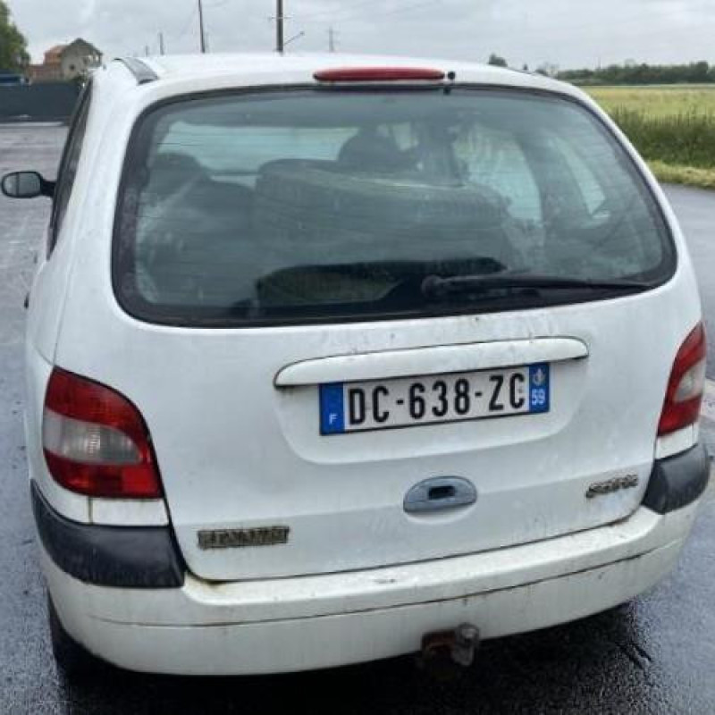 Bouton de warning RENAULT SCENIC 1 Photo n°13