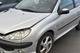 Baguette de porte avant droite PEUGEOT 206