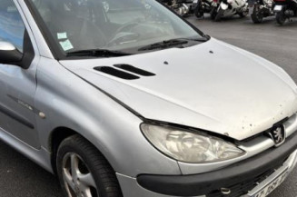 Baguette de porte avant droite PEUGEOT 206