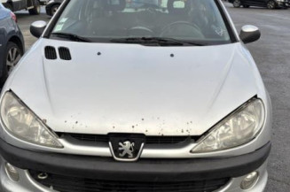 Baguette de porte avant droite PEUGEOT 206