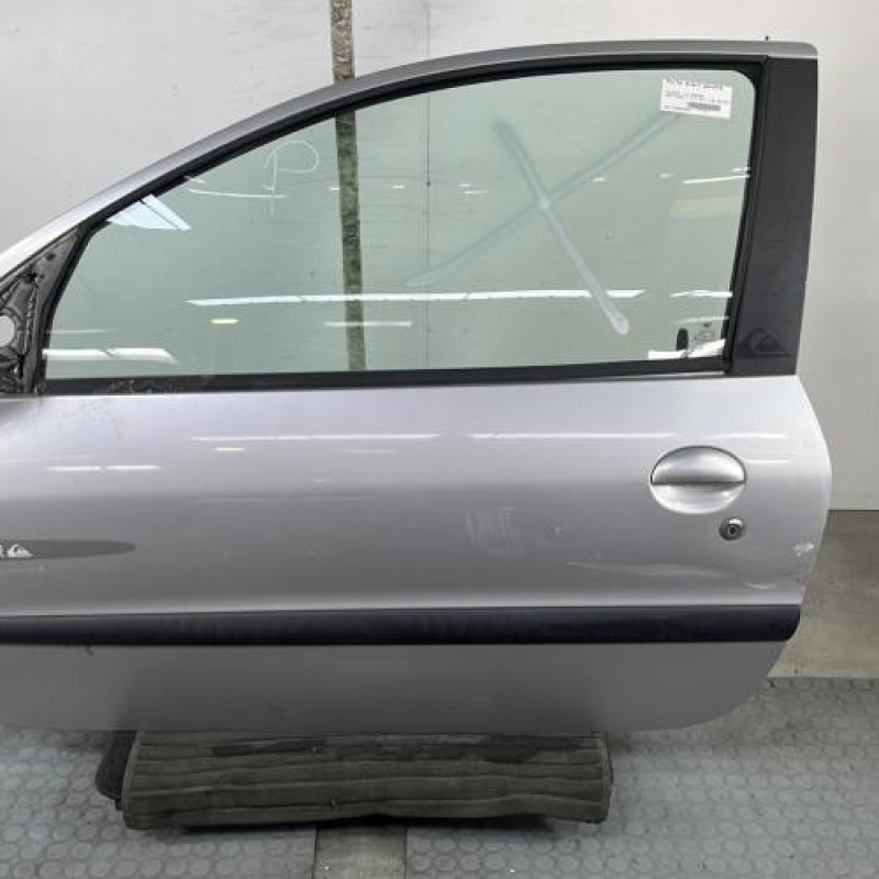 Porte avant gauche PEUGEOT 206 Photo n°1