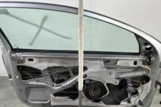 Porte avant gauche PEUGEOT 206