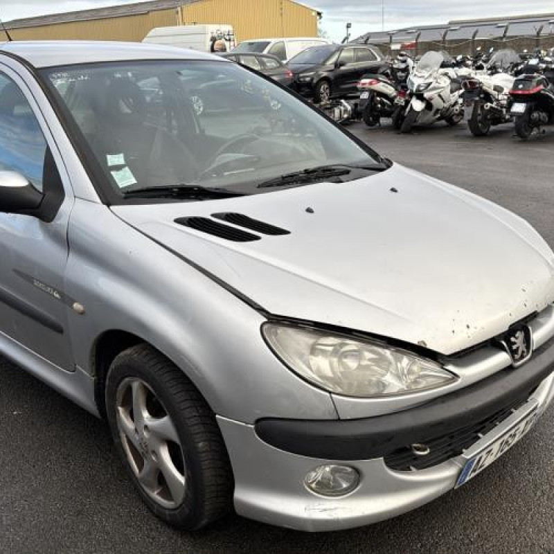 Porte avant gauche PEUGEOT 206 Photo n°9