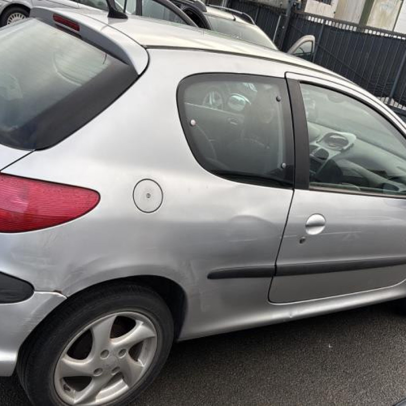 Porte avant gauche PEUGEOT 206 Photo n°13