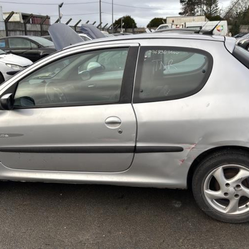 Porte avant gauche PEUGEOT 206 Photo n°14