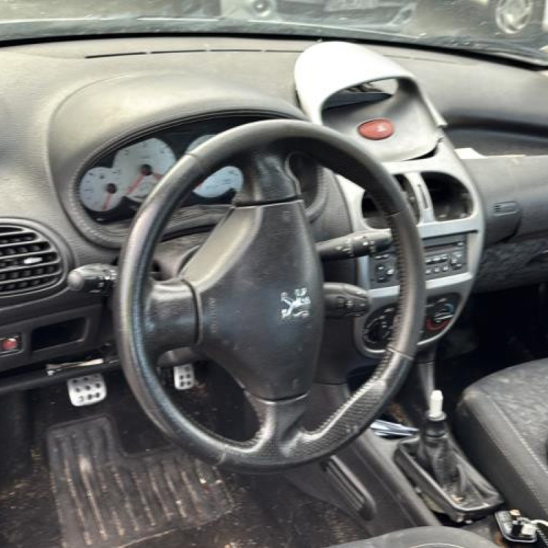 Porte avant gauche PEUGEOT 206 Photo n°18
