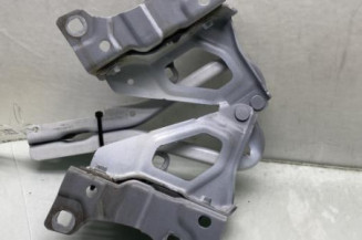 Charniere de capot RENAULT CLIO 5