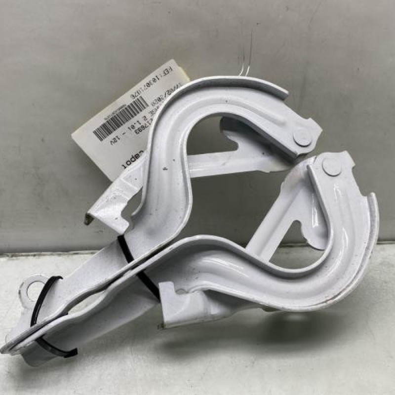 Charniere de capot HYUNDAI I 10 2 Photo n°1